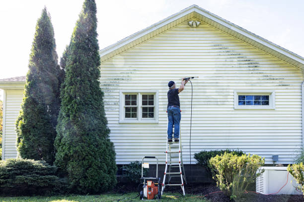 Best Local Pressure Washing Services  in Heber, CA